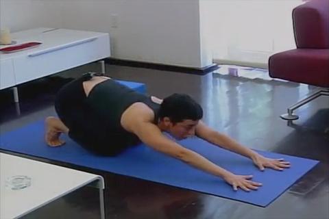 Strength Yoga-E.Barash 1.0