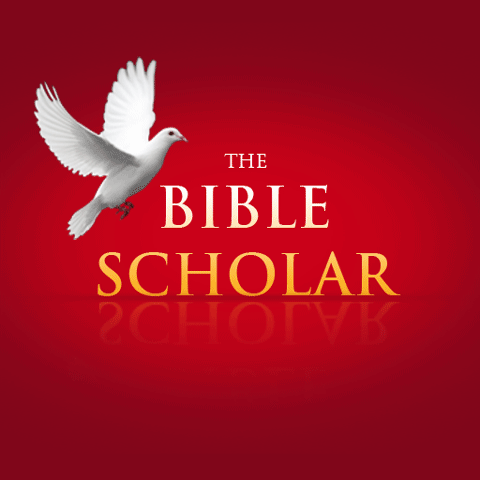 The Bible Scholar Set 1 of 2 1.0