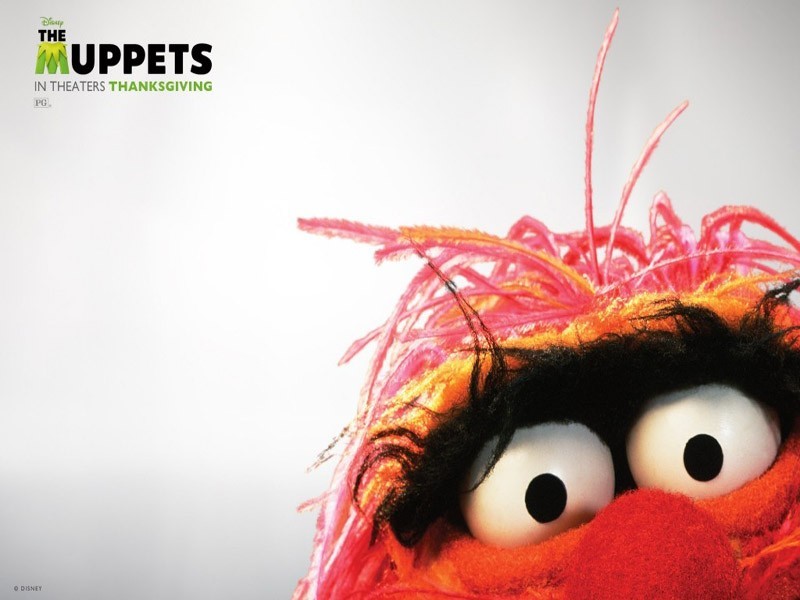 The Muppets Windows 7 Theme 1.0