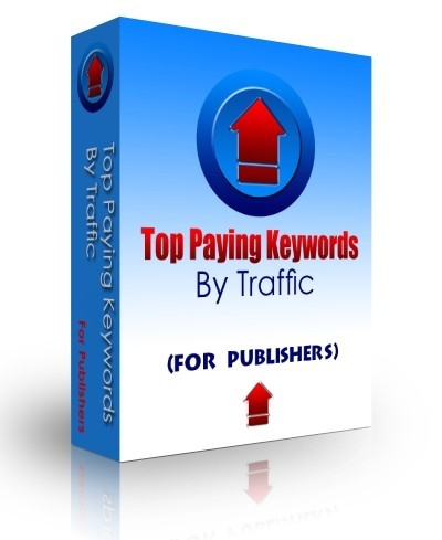 Top Paying Keywords (by traffic) 3.3