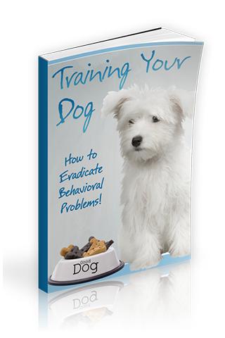 Training Your Dog 1.0