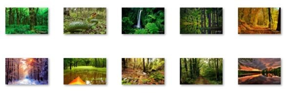 Tranquil Forest Windows 7 Theme 1