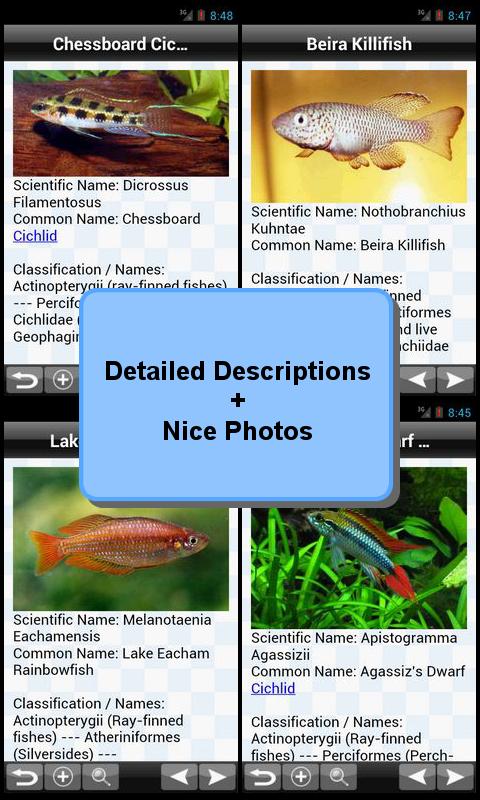 Tropical Fish Encyclopedia 2.0