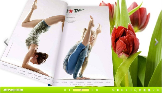 Tulips Theme for 3D Flash Flip Book 1.0