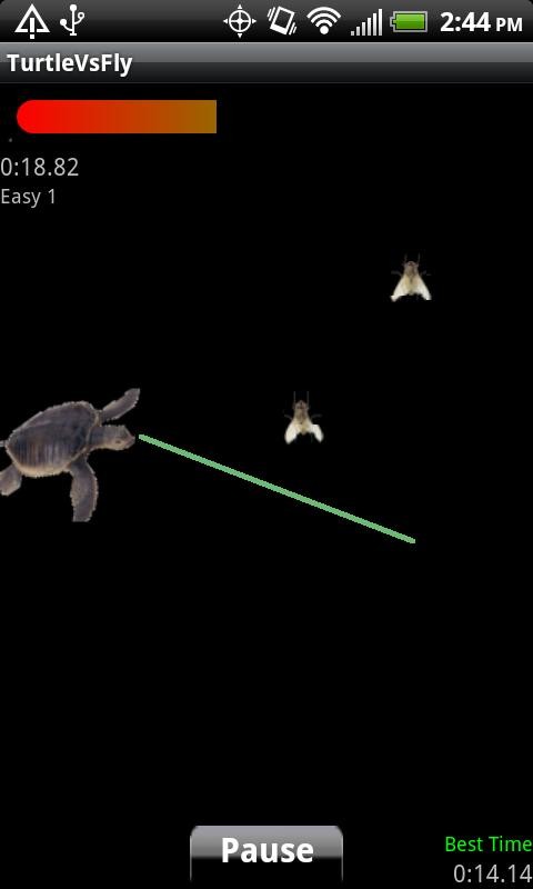 Turtle Vs Fly 12.3.25