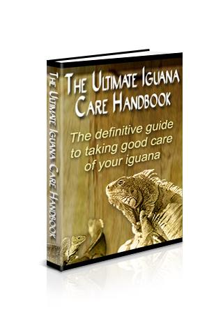Ultimate Iguana Care Handbook 1.0