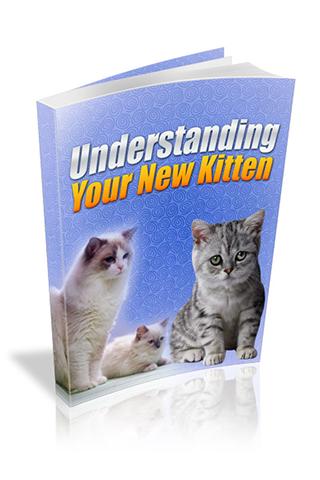Understanding Your New Kitten 1.0
