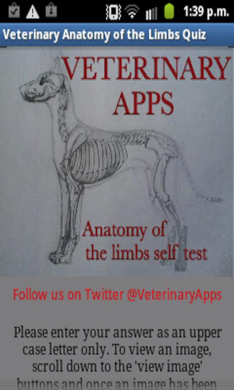 Vet Anatomy Of The Limbs Quiz 4.0