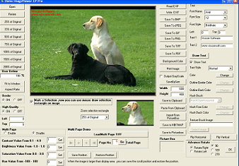 VISCOM Image Viewer CP Pro ActiveX SDK 10.12