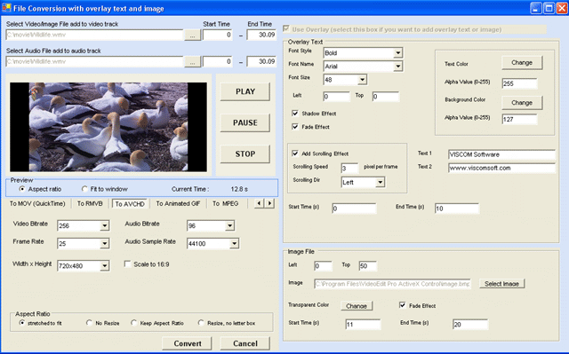 VISCOM Video Edit Pro ActiveX Control 3.1