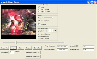 VISCOM Video Player Pro ActiveX 9.04