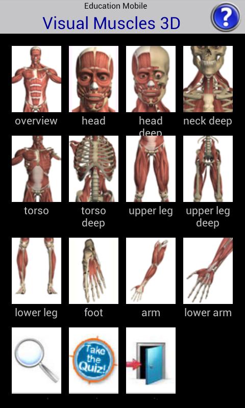 Visual Muscles 3D 1.0
