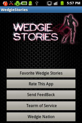 Wedgie Stories 1.0