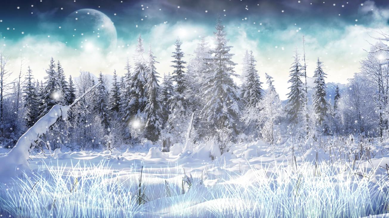 Winter Snow Animated Wallpaper 2.0