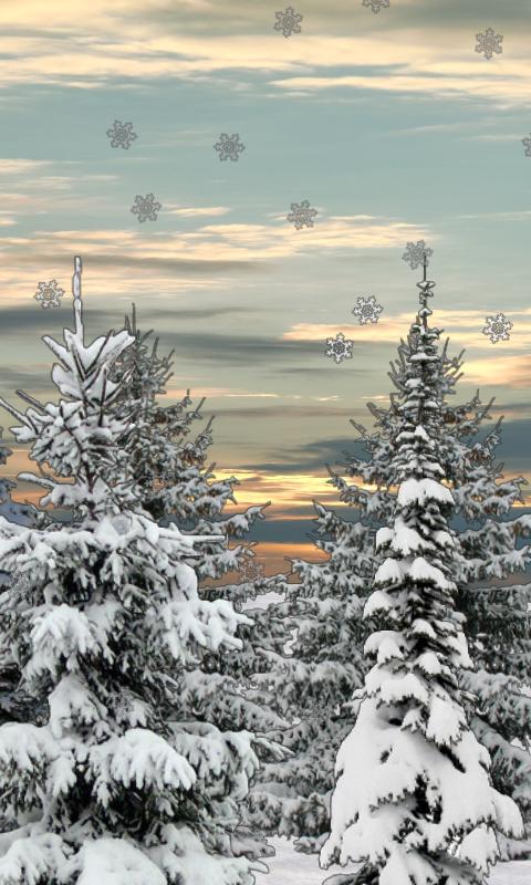 Winter Snow Trees 3D LWP 1.07