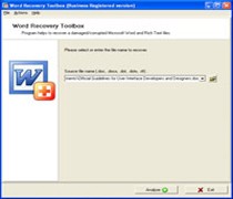 Word Recovery Toolbox 2.0.1